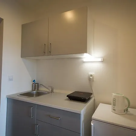 Apartment Horni Brana *