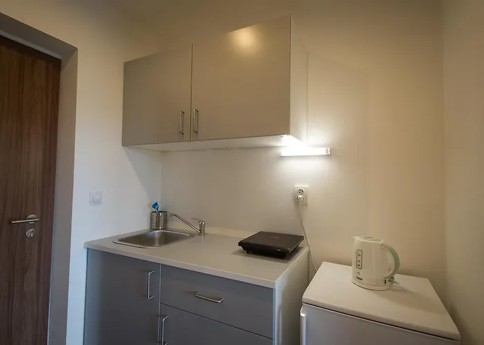 Apartament Horni Brana *