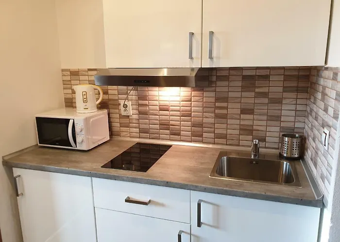Horni Brana Apartament